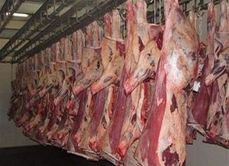 طلب عالٍ للحوم السودانية في الأسواق الأردنية طلب عالٍ للحوم السودانية في الأسواق الأردنية