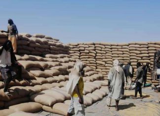 توريد 52 ألف جوال قمح للبنك الزراعي من القرشي بالجزيرة توريد 52 ألف جوال قمح للبنك الزراعي من القرشي بالجزيرة