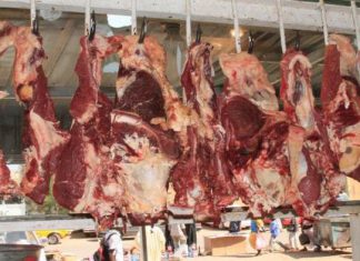 تعرف علي أسعار اللحوم البيضاء والحمراء باسواق الخرطوم تعرف علي أسعار اللحوم البيضاء والحمراء باسواق الخرطوم
