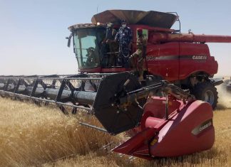 شكاوى من ندرة في الحاصدات والوقود بالشمالية شكاوى من ندرة في الحاصدات والوقود بالشمالية