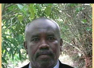 معلمو النيل الابيض يدخلون في اضراب بجميع مدارس الولاية معلمو النيل الابيض يدخلون في اضراب بجميع مدارس الولاية