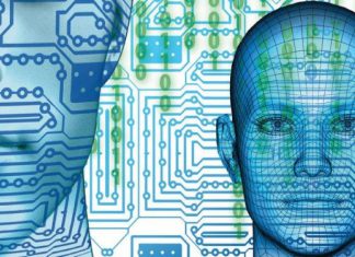 6 أطعمة تحافظ على صحة الدماغ ومستوى الذكاء 6 أطعمة تحافظ على صحة الدماغ ومستوى الذكاء