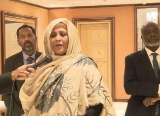 السودان: حريصون على الاستجابة لمبادرة الكونغو بشأن سد النهضة السودان: حريصون على الاستجابة لمبادرة الكونغو بشأن سد النهضة