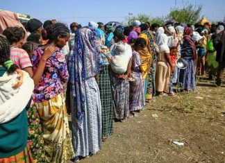 ترتيبات لترحيل اللاجئين الإثيوبيين من محطات بالحدود ترتيبات لترحيل اللاجئين الإثيوبيين من محطات بالحدود