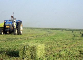 القطاع الزراعي.. حل عقبة التمويل القطاع الزراعي.. حل عقبة التمويل