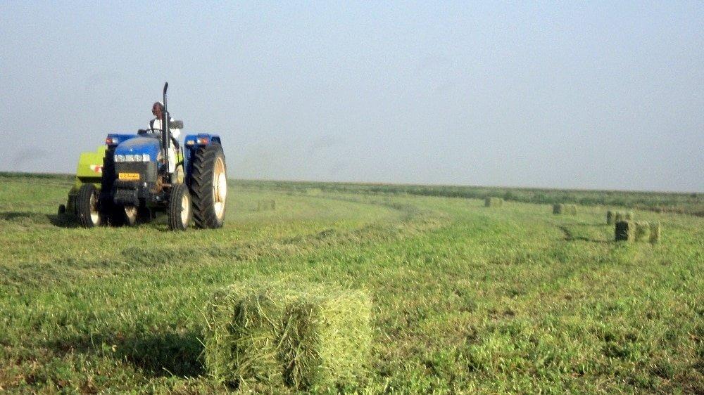 القطاع الزراعي.. حل عقبة التمويل القطاع الزراعي.. حل عقبة التمويل