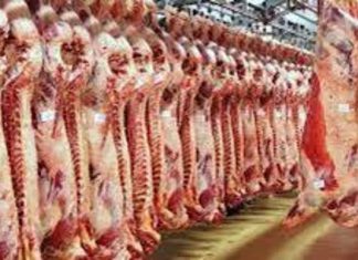 وزارة الزراعة الأردنية تعتمد مسالخ جديدة في السودان وزارة الزراعة الأردنية تعتمد مسالخ جديدة في السودان