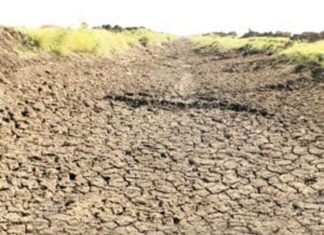 سكر الجنيد يخرج حداف وودالفضل عن دائرة الإنتاج سكر الجنيد يخرج حداف وودالفضل عن دائرة الإنتاج