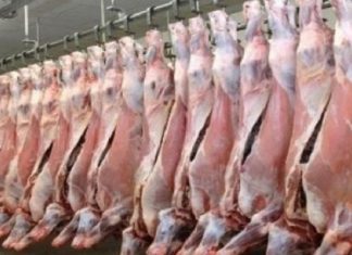 وزارة الزراعة بالأردن تنفي اهداء السودان للأردن 35 طن لحوم وزارة الزراعة بالأردن تنفي اهداء السودان للأردن 35 طن لحوم