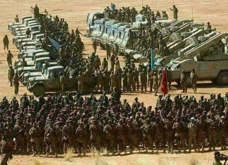 الجيش: سنحمي كل شبر من حدودنا المحررة الجيش: سنحمي كل شبر من حدودنا المحررة