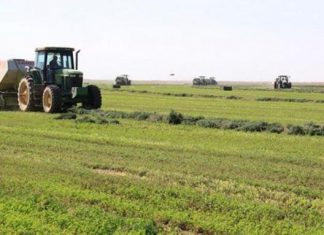 اكتمال الاستعداد لزراعة اكثر من ثلاثة مليون فدان بالنيل الابيض اكتمال الاستعداد لزراعة اكثر من ثلاثة مليون فدان بالنيل الابيض