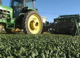 تأسيس شركة مصرية سودانية ضخمة للإنتاج الزراعي والحيواني تأسيس شركة مصرية سودانية ضخمة للإنتاج الزراعي والحيواني