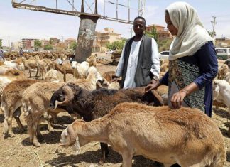 مصر والسودان يوقعان مذكرة لتأسيس شركة مساهمة للصناعات الغذائية مصر والسودان يوقعان مذكرة لتأسيس شركة مساهمة للصناعات الغذائية