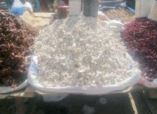 السودانيون يروون عطش الصيام بـ«القونقليز» و«الكركدي» و«العرديب» السودانيون يروون عطش الصيام بـ«القونقليز» و«الكركدي» و«العرديب»