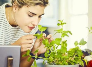 فيروس كورونا: دورات تأهيلية لاستعادة حاسة الشم بعد التعافي فيروس كورونا: دورات تأهيلية لاستعادة حاسة الشم بعد التعافي