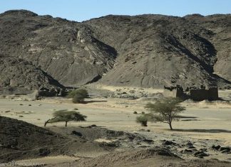 اكتشاف أدوات حجرية في السودان عمرها أكثر من 700 ألف عام اكتشاف أدوات حجرية في السودان عمرها أكثر من 700 ألف عام