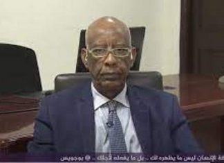 الخارجية تنفي التأكيد الرسمي لتجميد التعاون العسكري مع روسيا الخارجية تنفي التأكيد الرسمي لتجميد التعاون العسكري مع روسيا