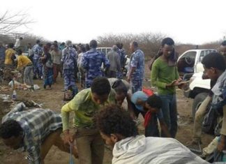 إحباط محاولة إدخال أجانب للخرطوم بدون أوراق ثبوتية إحباط محاولة إدخال أجانب للخرطوم بدون أوراق ثبوتية