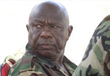 الحركة الشعبية بقيادة الحلو .. قراءة في مراحل التأسيس