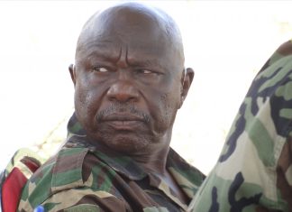 الحركة الشعبية بقيادة الحلو .. قراءة في مراحل التأسيس