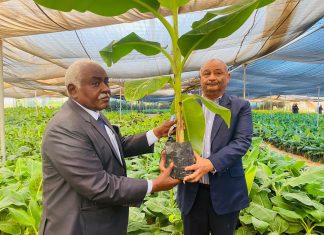 البرير يكشف للمحكمة تفاصيل شراء مشروع (كناف أبو نعامة) البرير يكشف للمحكمة تفاصيل شراء مشروع (كناف أبو نعامة)