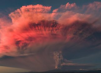 هذه هي أسوأ سنة في تاريخ البشرية هذه هي أسوأ سنة في تاريخ البشرية