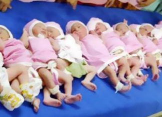 أم مالية تنجب تسعة توائم أم مالية تنجب تسعة توائم