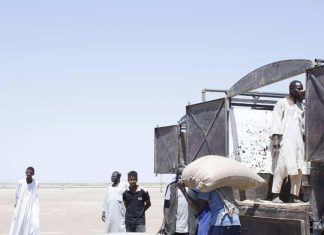 البنك الزراعي يتسلم ٣٢١٤٦٣ طنا من القمح من المزارعين البنك الزراعي يتسلم ٣٢١٤٦٣ طنا من القمح من المزارعين