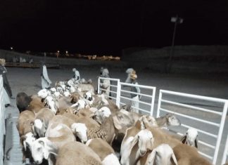 اتحاد المُصدِّرين والمُستوردين العرب يُعلن عن منتدى اقتصادي بالخرطوم قريباً اتحاد المُصدِّرين والمُستوردين العرب يُعلن عن منتدى اقتصادي بالخرطوم قريباً