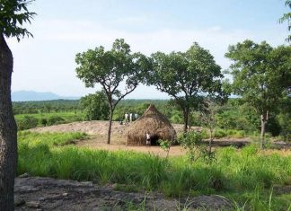 مبادرة المجتمع المدني بالنيل الأزرق تتأسف لأحداث المدينة (11) مبادرة المجتمع المدني بالنيل الأزرق تتأسف لأحداث المدينة (11)