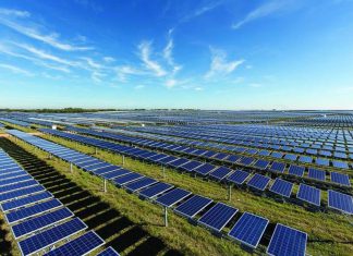 تفاصيل مشاريع تنموية ضخمة يعرضها قطاع الطاقة بمؤتمر باريس تفاصيل مشاريع تنموية ضخمة يعرضها قطاع الطاقة بمؤتمر باريس