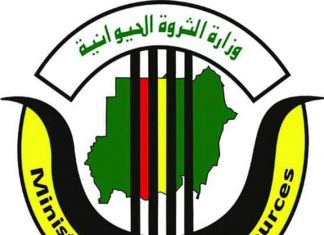 الثروة الحيوانية تنفي نفوق (5) ملايين راس من الماشية بجنوب كردفان الثروة الحيوانية تنفي نفوق (5) ملايين راس من الماشية بجنوب كردفان