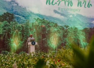 بصمة إثيوبية خضراء بالسودان.. 316 مليون شتلة تداوي أزمات السياسة بصمة إثيوبية خضراء بالسودان.. 316 مليون شتلة تداوي أزمات السياسة