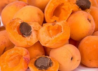 باحث مصري: احذروا بذور هذه الفواكه.. فيها سم قاتل باحث مصري: احذروا بذور هذه الفواكه.. فيها سم قاتل