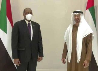 المبادرة الإماراتية.. الخروج من باب الدخول المبادرة الإماراتية.. الخروج من باب الدخول