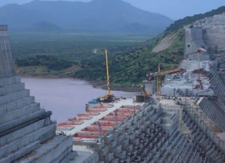 الجامعة العربية: نقف بشكل كامل مع مصر والسودان والموقف الإثيوبي غير عقلاني الجامعة العربية: نقف بشكل كامل مع مصر والسودان والموقف الإثيوبي غير عقلاني