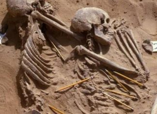 مقبرة في السودان تكشف جحيم الحرب منذ 13 ألف عام مقبرة في السودان تكشف جحيم الحرب منذ 13 ألف عام