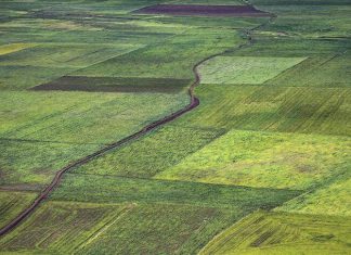 خبيرة تؤكد أن الزراعة العضوية لا يتم فيها استخدام المواد الضارة خبيرة تؤكد أن الزراعة العضوية لا يتم فيها استخدام المواد الضارة