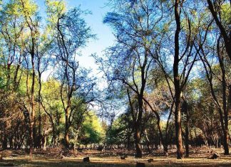 مبادرة بأكثر من 23 مليون دولار لتحسين 3 محميات طبيعية في السودان مبادرة بأكثر من 23 مليون دولار لتحسين 3 محميات طبيعية في السودان