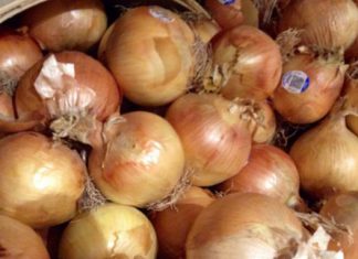 ما الفرق بين العفن الأسود في البصل و الفطر الأسود؟ ما الفرق بين العفن الأسود في البصل و الفطر الأسود؟