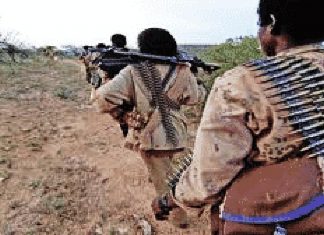 مليشيا اثيوبية تقتل مزارعين بالحدود مليشيا اثيوبية تقتل مزارعين بالحدود