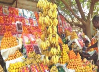 ارتفاع أسعار الخضر والفاكهة بولاية الخرطوم ارتفاع أسعار الخضر والفاكهة بولاية الخرطوم