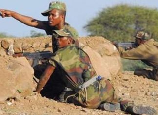 حشود لقوات إثيوبية تقترب من مراكز للجيش السوداني بالفشقة حشود لقوات إثيوبية تقترب من مراكز للجيش السوداني بالفشقة