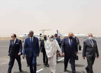 وصول وزيري الخارجية والري المصريين وصول وزيري الخارجية والري المصريين