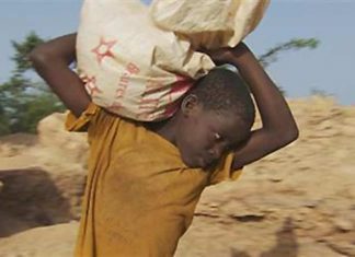 تقرير أممي يحذر من ارتفاع عدد الأطفال العاملين إلى (160) مليوناً تقرير أممي يحذر من ارتفاع عدد الأطفال العاملين إلى (160) مليوناً