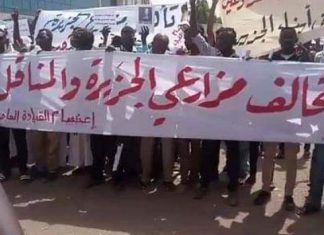 مزراعو الجزيرة والمناقل يهددون بالامتناع عن زراعة الموسم مزراعو الجزيرة والمناقل يهددون بالامتناع عن زراعة الموسم