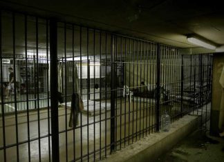 السجن لمواطنين وأجانب يديرون منظمة إجرام واحتيال السجن لمواطنين وأجانب يديرون منظمة إجرام واحتيال