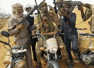 إصابة اثنين من النازحين بأعيرة نارية في حادث نهب مسلح شمال نيرتتي إصابة اثنين من النازحين بأعيرة نارية في حادث نهب مسلح شمال نيرتتي