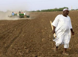 المجلس السيادى: الزراعة هى المخرج للنهوض بالاقتصاد الوطنى المجلس السيادى: الزراعة هى المخرج للنهوض بالاقتصاد الوطنى