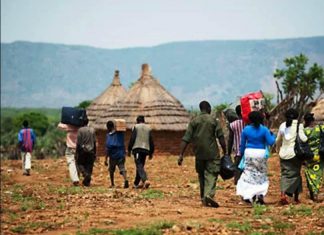 جنوب كردفان.. مشاكل الزراعة والرعي جنوب كردفان.. مشاكل الزراعة والرعي